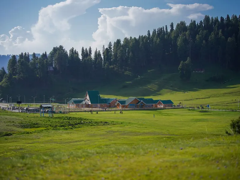 Meadow with green-roofed huts below a pine forest in Kashmir