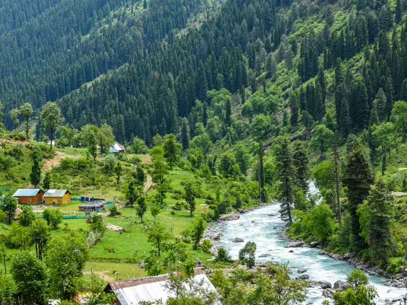 River winding through a forested valley in Kashmir