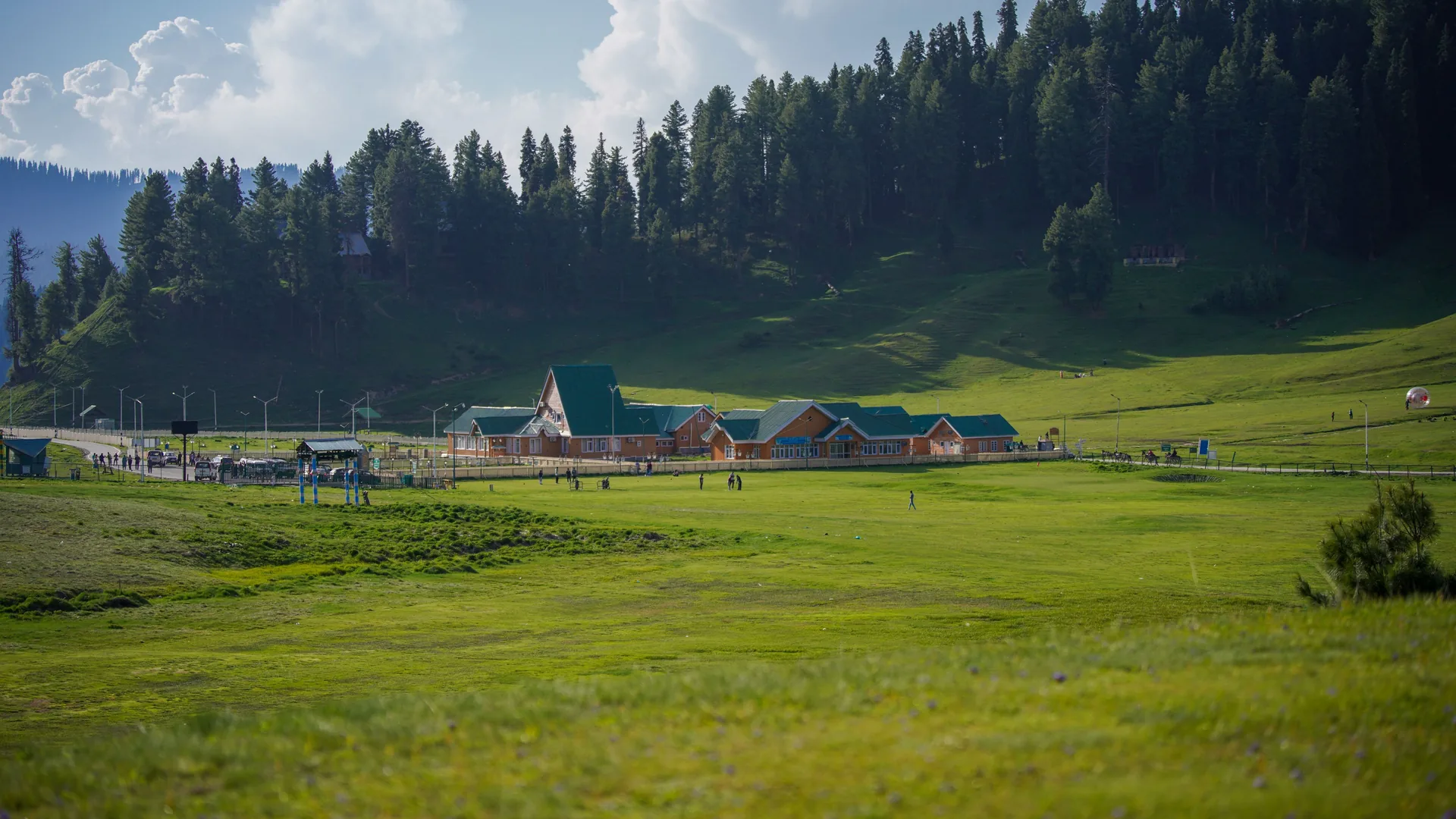 Meadow with green-roofed huts below a pine forest in Kashmir