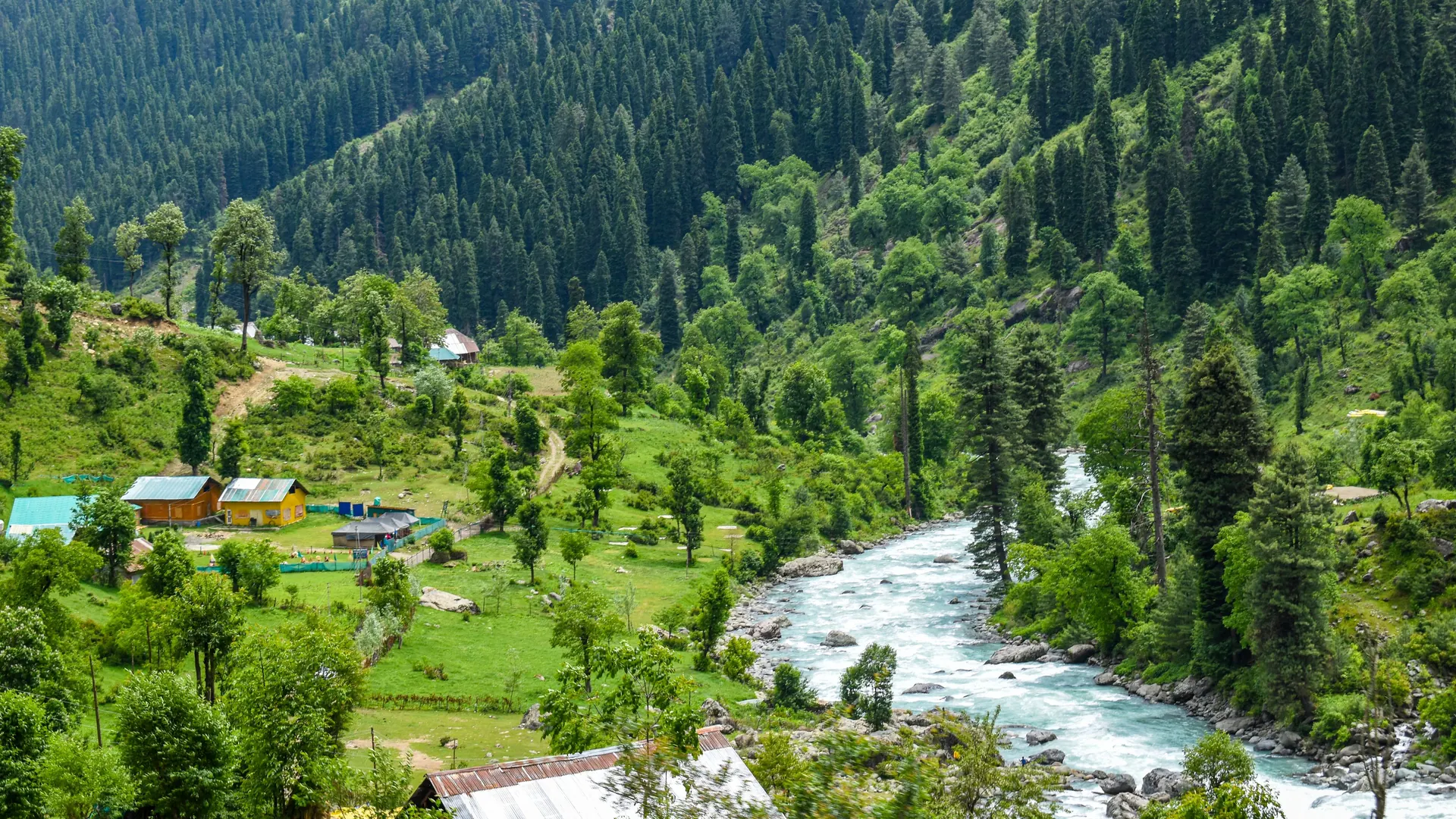 River winding through a forested valley in Kashmir